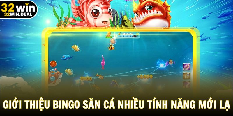 Giới thiệu phiên bản Bingo săn cá nhiều tính năng mới lạ