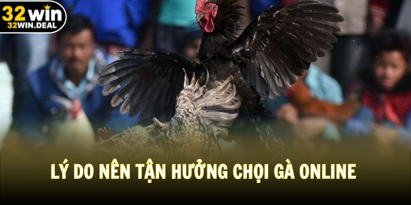 Lý do nên tận hưởng chọi gà online rất chính đáng